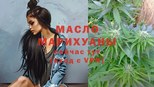 мяу мяу мука Аркадак