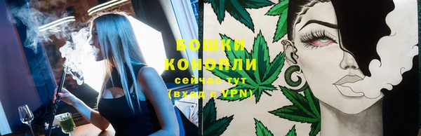 эйфоретик Новозыбков