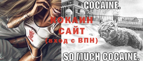 эйфоретик Новозыбков