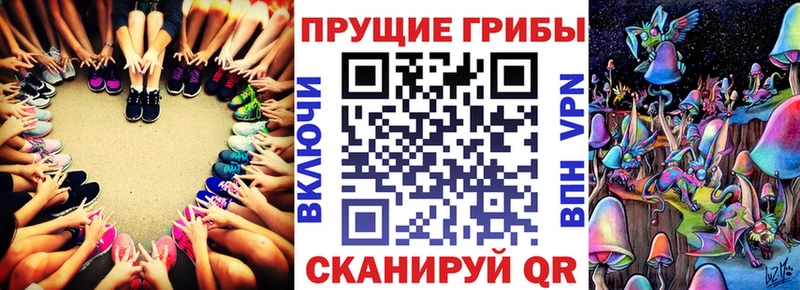 купить наркоту Каменка кракен вход Псилоцибиновые грибы ЛСД