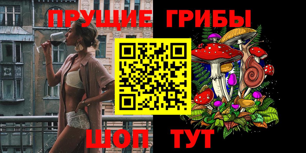Псилоцибиновые грибы Psilocybine cubensis  Псилоцибиновые грибы GOLDEN TEACHER  Каменка  Вход с VPN 